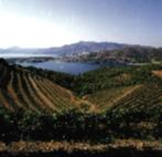 Stunning views from Cap de Creus