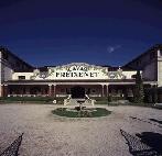 HFA�ANA I FLORS copy copy