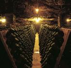 HFA�ANA I FLORS copy copy