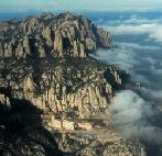 HFA�ANA I FLORS copy copy